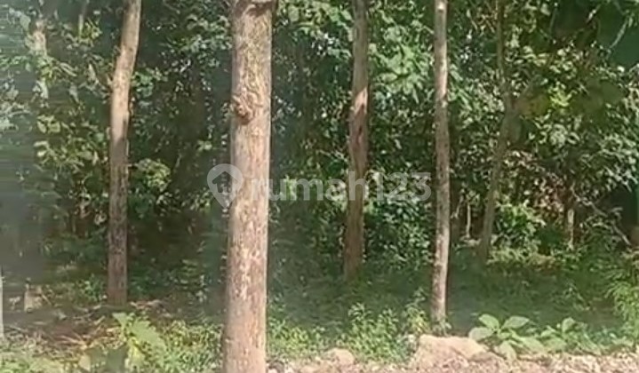 Dijual Cepat Turun Harga Kebon Jati di Pasekan Karang anyar, Surakarta Jawa Tengah