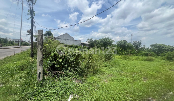 Dijual Cepat Tanah Luas Cocok untuk Usaha di Jalur Pantura, Cikampek