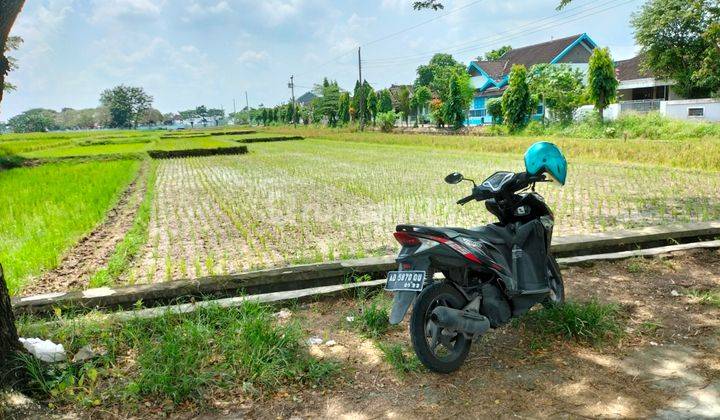 Tanah Persawahan di Wonosari Klaten Dekat Stasiun Delanggu 2