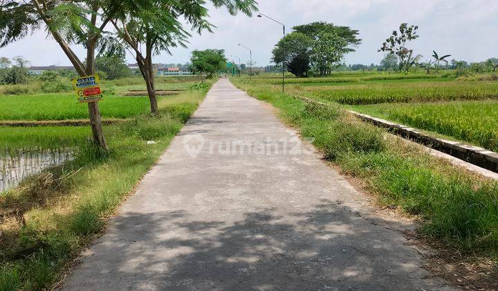 Tanah Persawahan di Wonosari Klaten Dekat Stasiun Delanggu 3