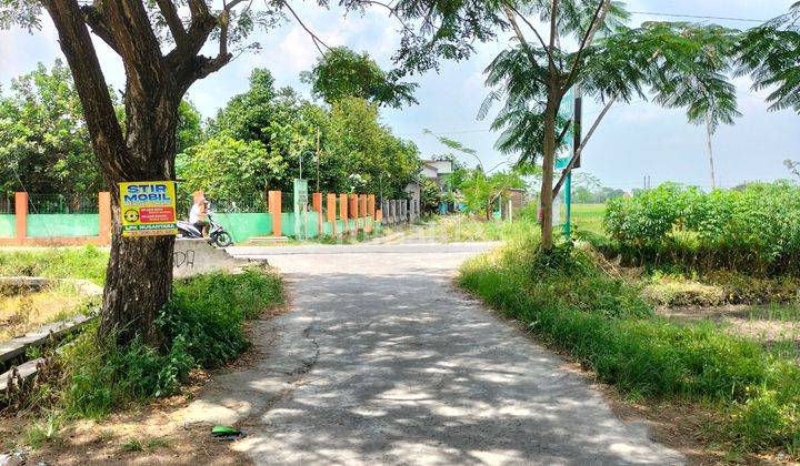 Tanah Persawahan di Wonosari Klaten Dekat Stasiun Delanggu 4