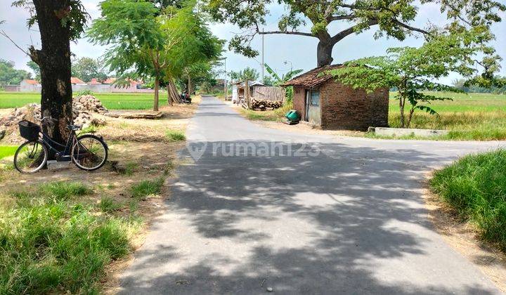 Tanah Persawahan di Wonosari Klaten Dekat Stasiun Delanggu 5