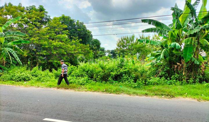 Tanah Tepi Jalan di Polokarto Bisa Dibeli Separuh 2