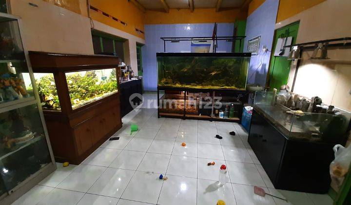 Rumah Klasik Terawat di Tengah Kota Solo 4