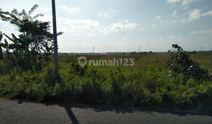 Dijual Tanah Subur Pinggir Jalan Dekat Pasar Daleman 3