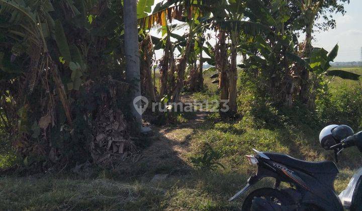 Dijual Tanah Subur Pinggir Jalan Dekat Pasar Daleman 6