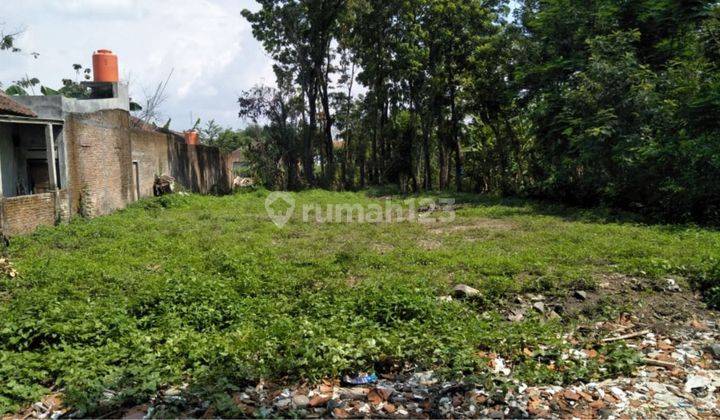 Tanah Lingkungan Masih Asri di Belakang Kandang Menjangan 2