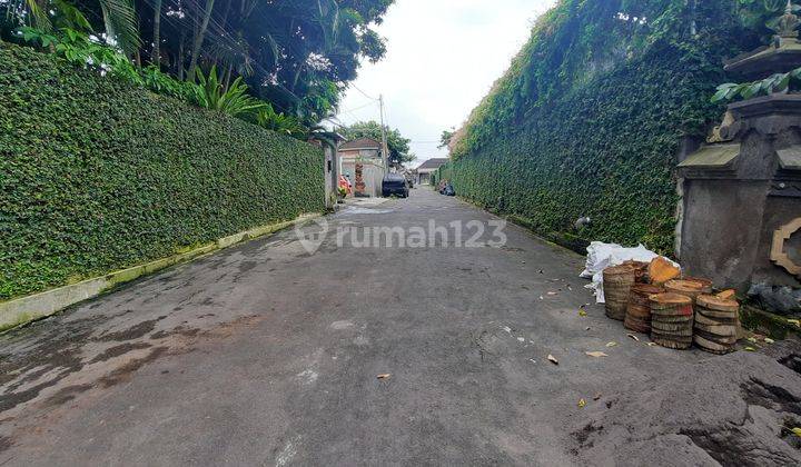 Boarding houses, elite boarding houses, apartments on Jalan Semer Kerobokan near Canggu 2