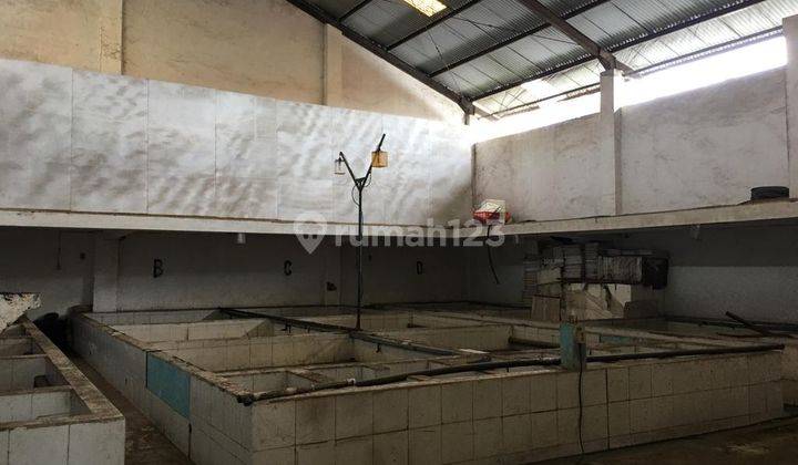 Tanah ada bangunan rumah dan gudang di jl ponegoro pedungan pesanggaran dkt bypass ngurai, pintu tol 15