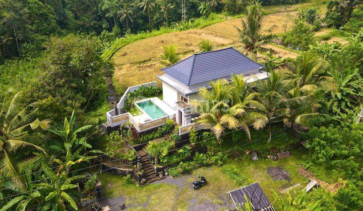 Villa modern full view sawah di ubud gianyar bali cocok untuk hunian pribadi ataupun komersial 1