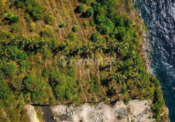 Tanah los tebing full view laut nusa penida klungkung bali, cocok villa atau hunian lain 2