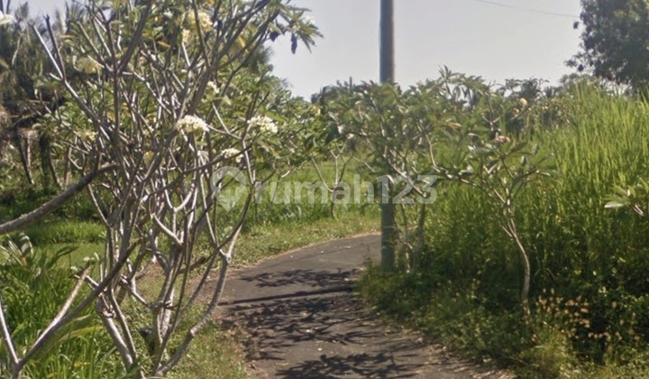 Land in Pering Blahbatu Gianyar Suitable for All Types of Residences, Boarding Houses, Rental Rooms, Villas.
