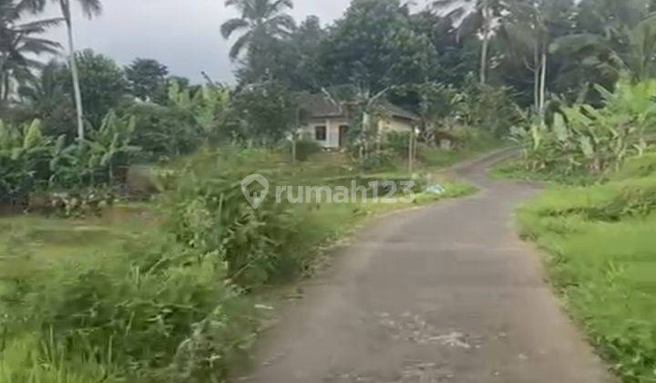 Tanah 25 Are Di Penebel Tabanan Pemandangan Sawah 2