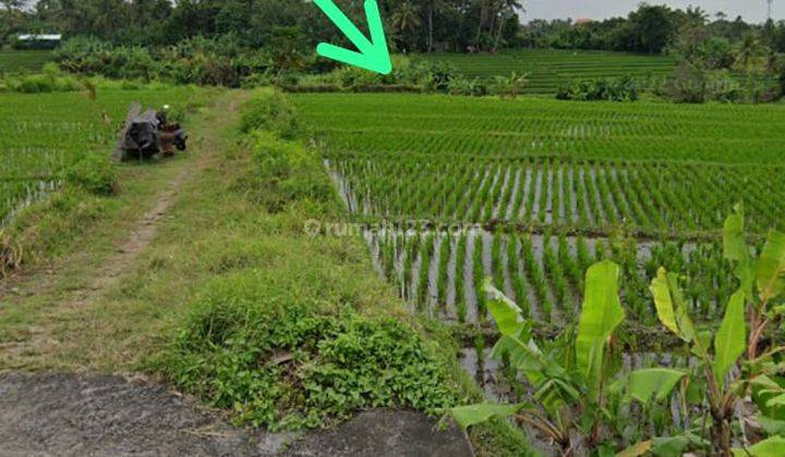  Tanah di Pantai nyayi, Nyanyi 7 Are SHM - Sertifikat Hak Milik 1