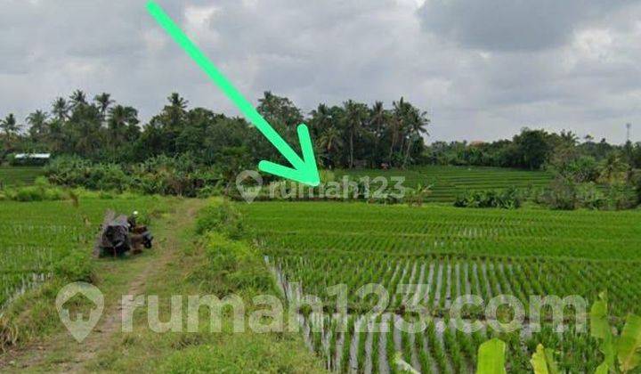  Tanah Di Pantai Nyayi, 7 Are Shm - Sertifikat Hak Milik 1
