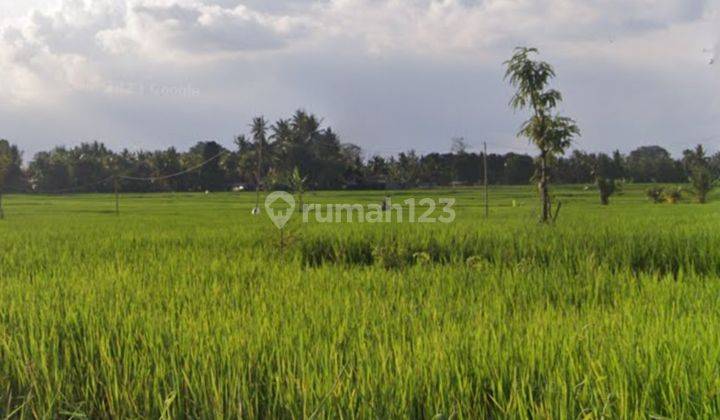 Tanah Dijual 54 Are Di Kaba Kaba Tabanan 1