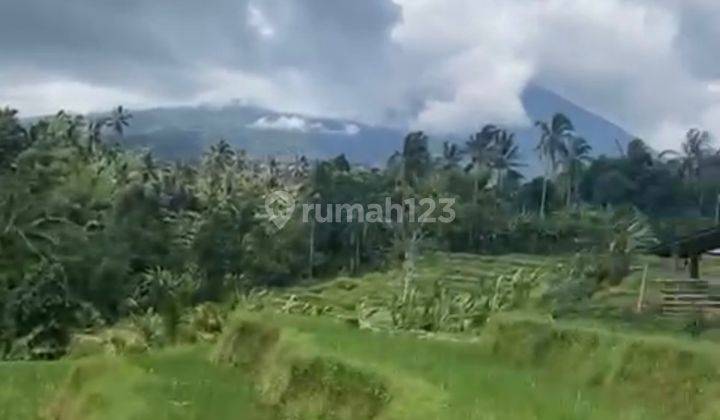 Tanah Di Penebel Pemandangan Sawah SHM - Sertifikat Hak Milik 25 Are 2