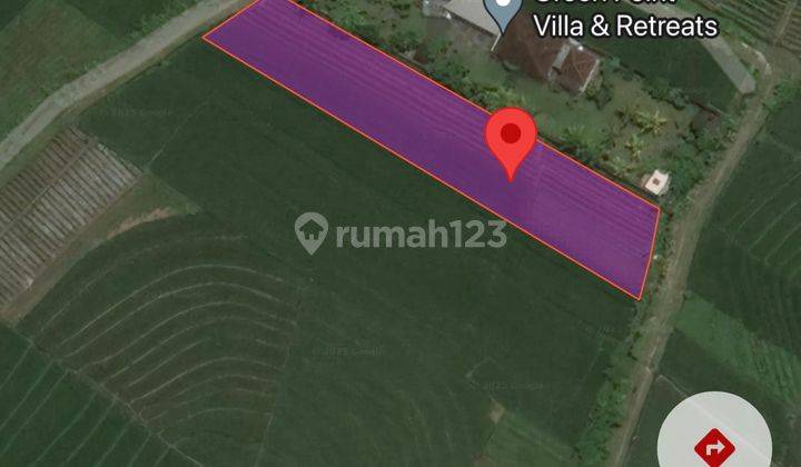 Tanah Ditabanan 32.0 are di Jl. Tibu Biyu, Kelating, Kec. Kerambitan, Kabupaten Tabanan, Bali, Tibubiyu 1