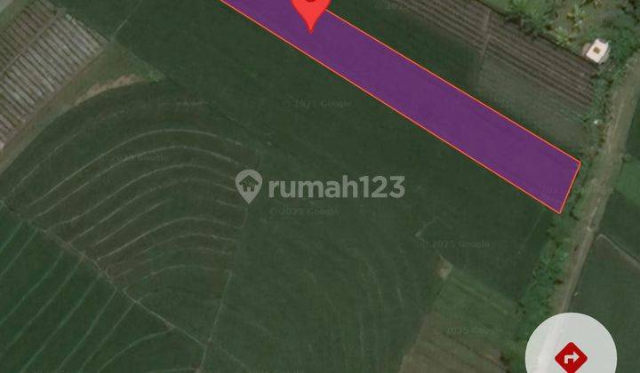 Tanah Ditabanan 32.0 are di Jl. Tibu Biyu, Kelating, Kec. Kerambitan, Kabupaten Tabanan, Bali, Tibubiyu 2