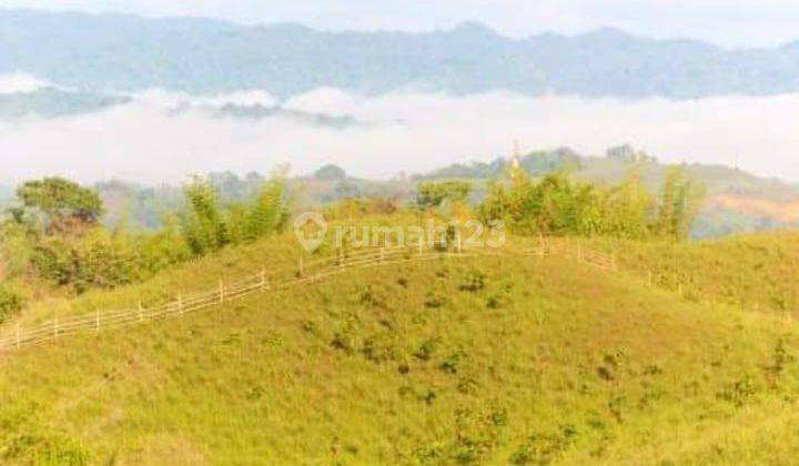 Tanah di Desa Rau Rau, Kec. Rarowatu Kab. Bombana, Sulawesi Tenggara, Bombana 350 ha 2