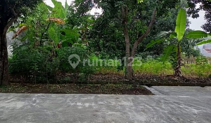 Tanah Di Dalam Komplek Pertamina Klayan Cirebon