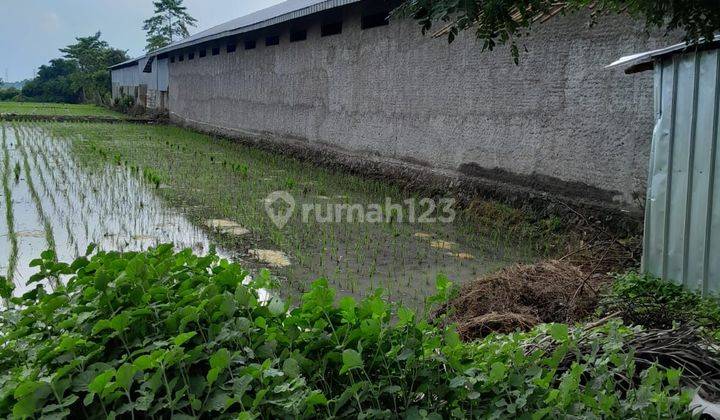 Gudang dekat pintu toll Plumbon Cirebon akses container  2