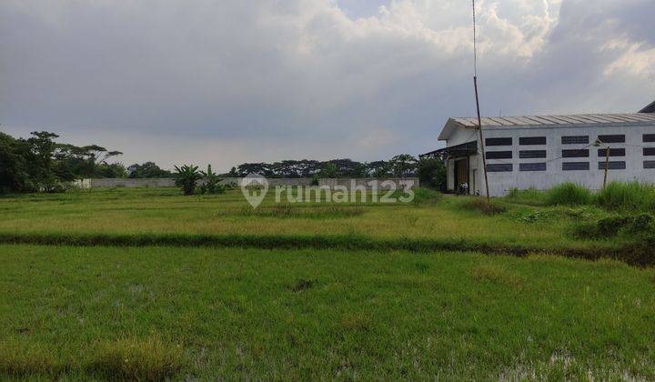 Tanah padat cocok buat gudang / Hunian dekat kantor imigrasi Kedawung Cirebon  1