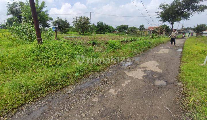 Tanah murah di kota Cirebon cocok untuk Gudang, hunian  2