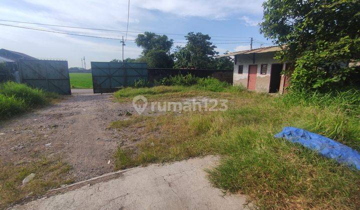 Gudang full tembok keliling di mundu jual hitung tanah  1