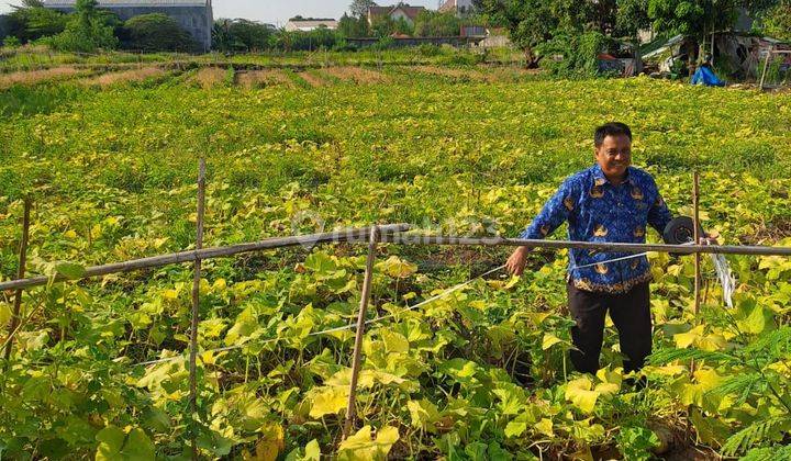 Tanah Di Komplek Pergudangan Dukuh Semar 1