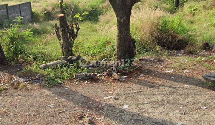 Tanah Pinggir Jalan Raya Ciperna Cirebon Dekat Pintu Toll 1