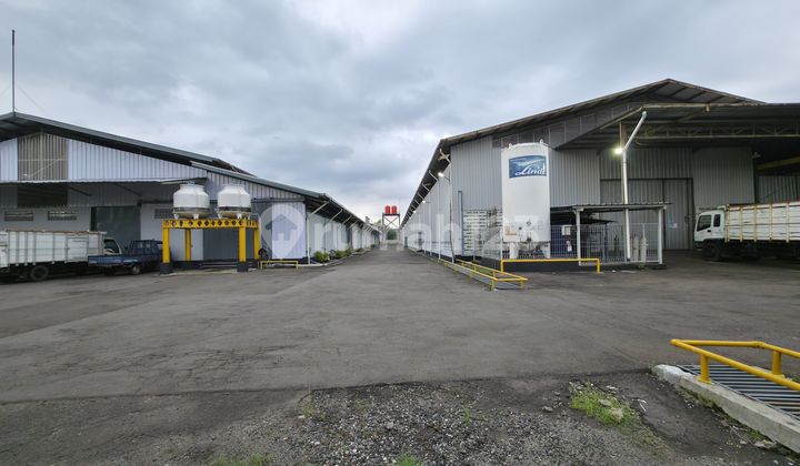 Factory for Rent in Good Condition in Cirebon Near Toll Gate Factory for Rent in Good Condition in Cirebon Near Toll Gate