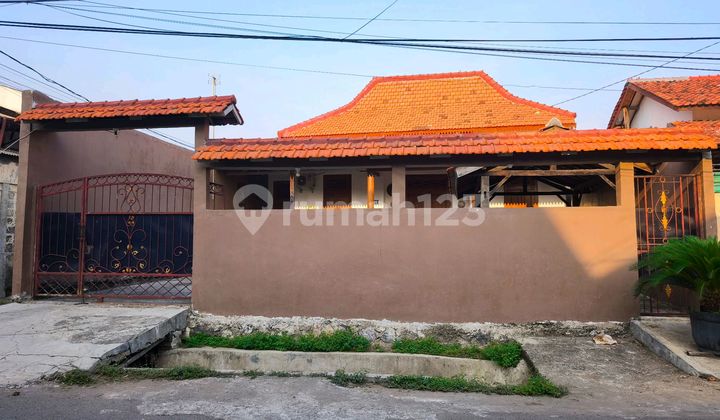 Rumah Joglo Berikut Perabotan Dekat Pusat Kota Cirebon Rumah Joglo Berikut Perabotan Dekat Pusat Kota Cirebon