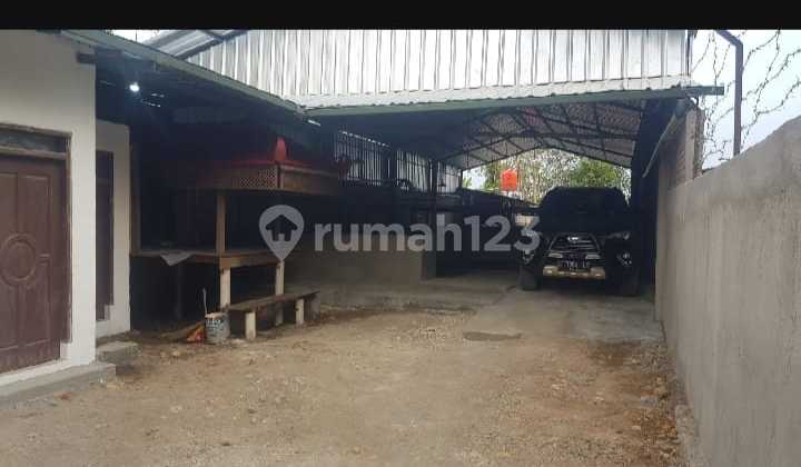 Kandang Sapi Di Tengahtani Kab Cirebon Kandang Sapi Di Tengahtani Kab Cirebon