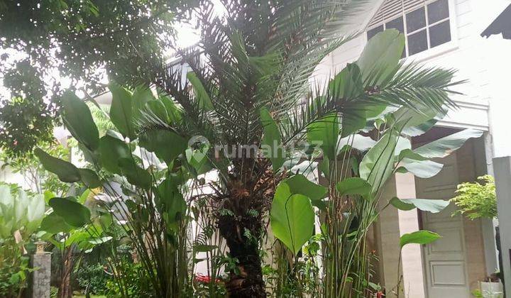 Rumah Nyaman Lt 400 Di Jl Bumi Permai Jakarta Selatan Lt 400 M Fasilitas Lengkap 1