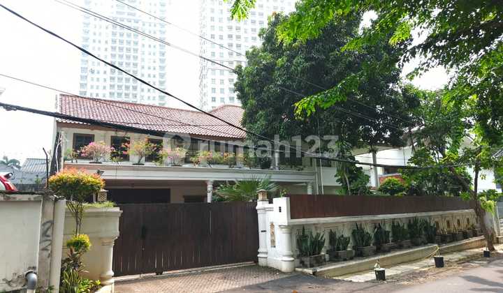 Rumah Asri Di Permata Berlian Depan Somerset Permata Berlian