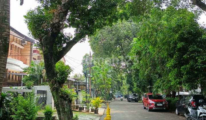 Auction House in Panglima Polim Below Market Price Auction House in Panglima Polim Below Market Price