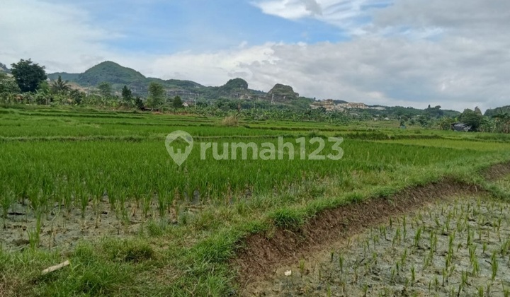 Lahan Murah 60Ha, Dibawah NJOP di Klapanunggal, Kab. Bogor