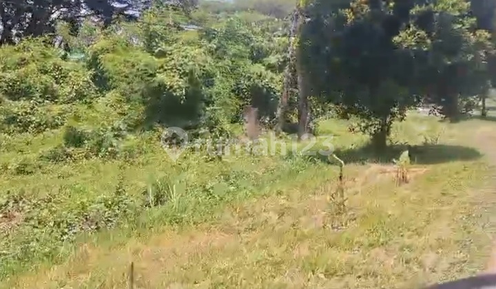 Lahan Pribadi 59Ha, Sk Bupati di Batang Kuis, Deli Serdang