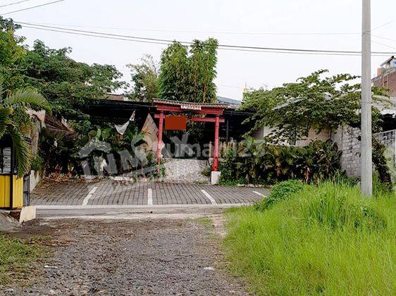 Tanah Luas 993 di Dieng Malang, Posisi Hook Cocok Dibangun Hunian 1