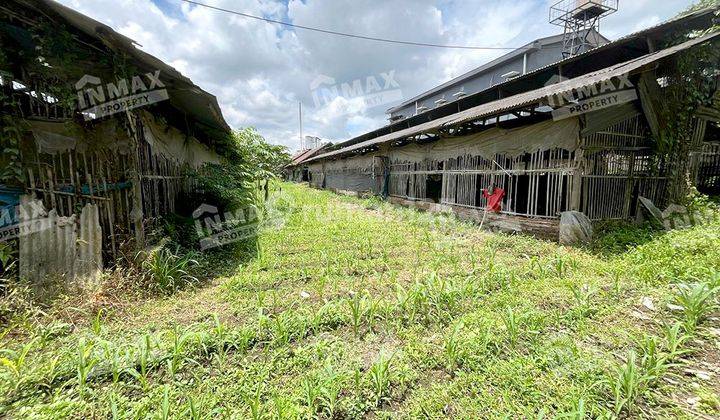 Tanah Pekarangan Luas 4640 Nol Jalan Daerah Wajak, Dekat Pasar 2