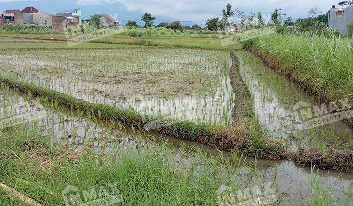 Tanah Pekarangan Luas 500 Daerah Pakis Malang, Dekat Akses Tol 2