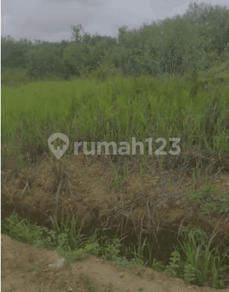 Dijual Tanah Strategis Banjarbaru, Kalimantan Selatan 2