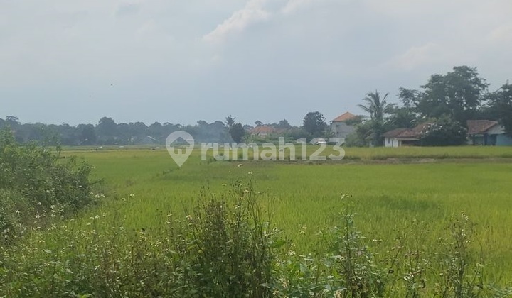 Jual Murah Tanah shm legok tangerang Jual Murah Tanah shm legok tangerang