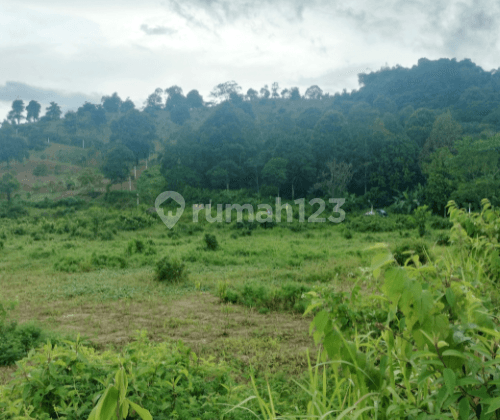 Turun Harga Dijual Murah Tanah SHM ,Rumpin Bogor Jawa Barat 2