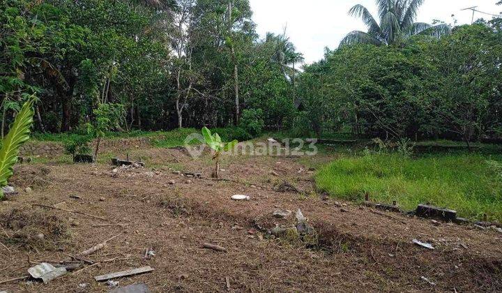 Dijual Murah Tanah Eks Peternakan Ayam ,jasinga Bogor Jawa Barat  1