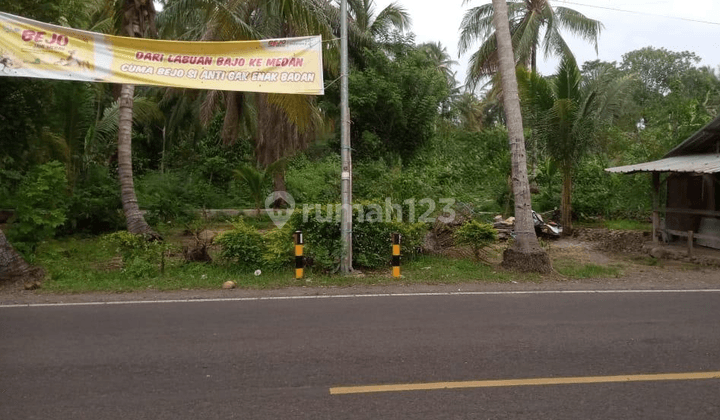 Dijual Tanah Strategia Pinngir Jalan Raya Cinangka ,anyer Banten 1