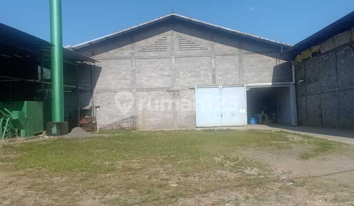 For Sale !! Active Crackers Factory Sumedang West Java