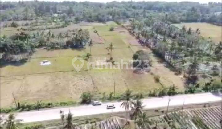 Jual Tanah Premium Jalan Raya Panimbang,Tanjung Lesung Banten Jual Tanah Premium Jalan Raya Panimbang,Tanjung Lesung Banten