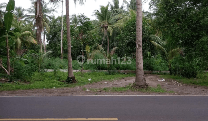 Dijual Tanah Strategia Pinngir Jalan Raya Cinangka ,anyer Banten 2